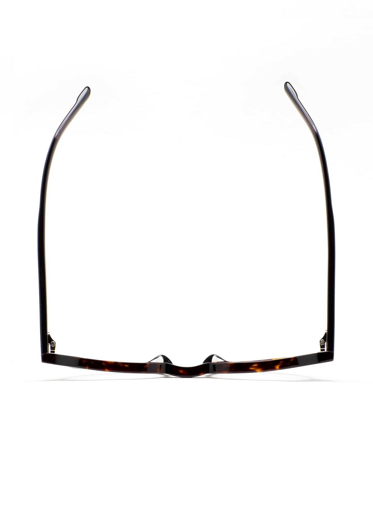 occhiale kaleos vista unisex ZWEIG 02 havana