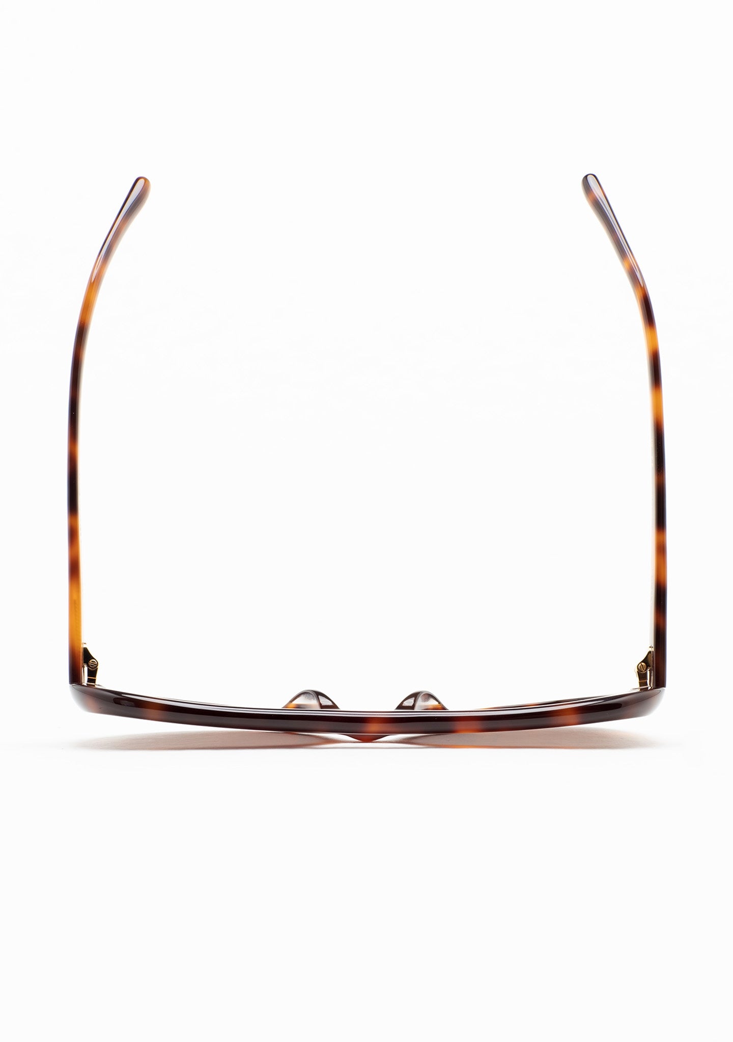 occhiale kaleos uomo e donna porter brown